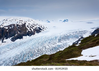 Exit Glacier From Harding Icefield Trail