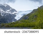 Exit Glacier at Kenai Fjords National Park. Exit Glacier is a glacier derived from the Harding Icefield in the Kenai Mountains of Alaska and one of Kenai Fjords National Park
