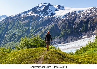 Exit Glacier, Kenai Fjords National Park, Seward, Alaska - Shutterstock ID 440362354