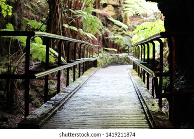 The Exit Of A Volcanic Cavern In Hawaii 