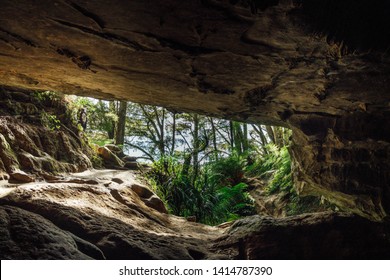 Exit Of The Waipu Caves In New Zealand