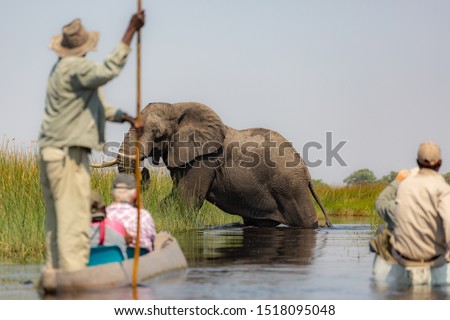 Exiting the Okavango Delta in Botswana  by mokoro 