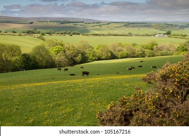 The Exmoor National Park In Devon