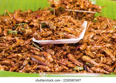 Exotic Asian food, insect-based food (protein nutrition). Thai ancient cuisine. Fried insects, Bombay locust - Shutterstock ID 2250587697