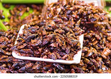 Exotic Asian food, insect-based food (protein nutrition). Thai ancient cuisine. Fried insects, beetles imago - Shutterstock ID 2250588319