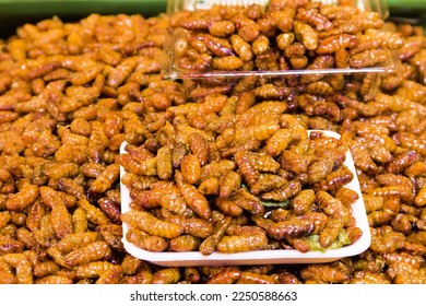 Exotic Asian food, insect-based food (protein nutrition). Thai ancient cuisine. Fried insect larvaes (silk worm, tussore) - Shutterstock ID 2250588663