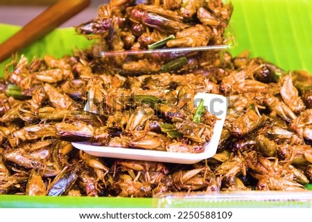Exotic Asian food, insect-based food (protein nutrition). Thai ancient cuisine. Fried insects, cocky meal, cockroach and crickets