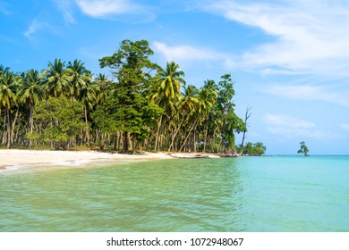 Exotic Beach Background. Summer Travel And Tourism, Vacation Destination Concept. Long Island. Andaman And Nicobar Islands India. Uninhabited, Unoccupied, Uninhabitable, Desert, Desolate Empty