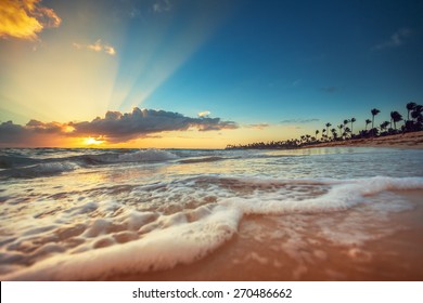 Exotic Beach In Dominican Republic, Punta Cana, Sunrise