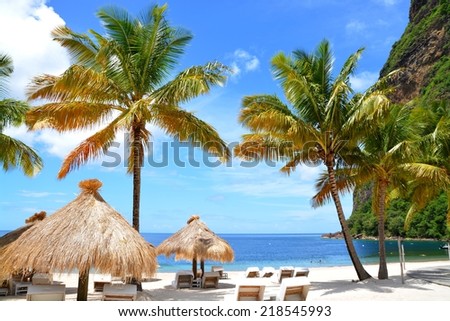 exotic beach at St. Lucia, between the two Pitons, St. Lucia, Caribbean