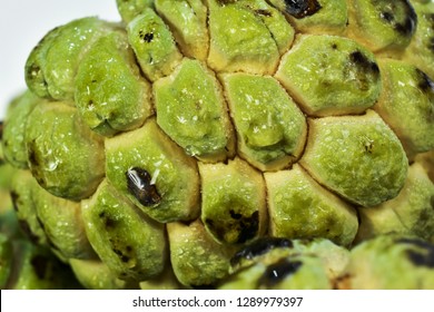 219 Fruta do conde Images, Stock Photos & Vectors | Shutterstock