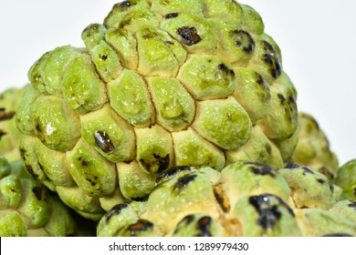 219 Fruta do conde Images, Stock Photos & Vectors | Shutterstock