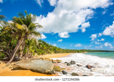 Exotic Carribean Shore Of Puerto Rico Flamenco Beach Shore