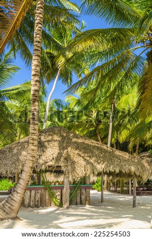 Exotic coast of Caribbean Islands with covered with a thatched roof hut, exotic palm trees and golden sand,