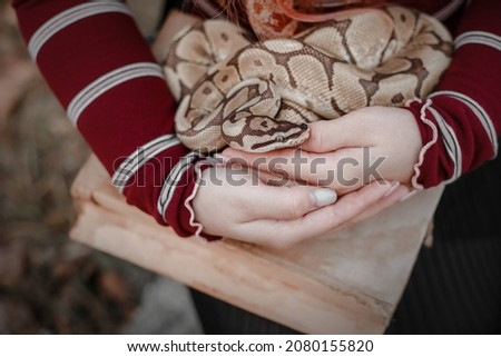 Exotic domestic animal. Girl with snake. Snake in the hands. Owner with snake