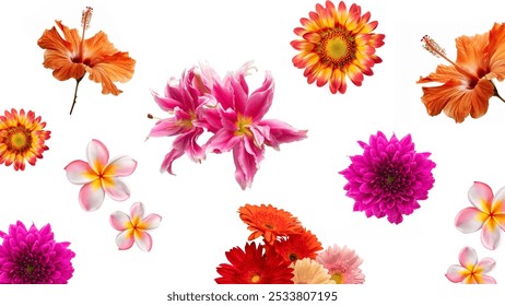 Exotic Flowers isolated on white background - Powered by Shutterstock