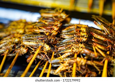                                Exotic Food Market - Grasshopper Sticks