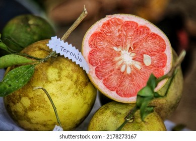 Exotic Fruits From The Colombian Jungle