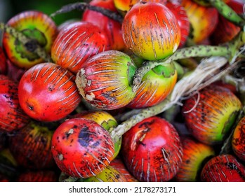 Exotic Fruits From The Colombian Jungle