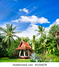 exotic garden. lush tropical plants - Shutterstock ID 81256078