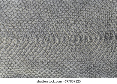 85,311 Fish skin Images, Stock Photos & Vectors | Shutterstock