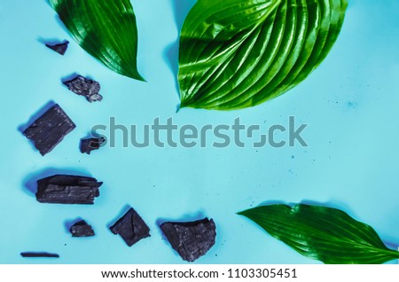exotic leaves. charcoal. cosmetology and supplement. blue background
