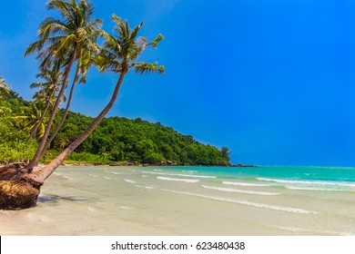 Exotic luxury tropical beach with white sand, turquoise water, blue sky, coconut palm trees, mountains, Bai Sao beach, Phu Quoc island, Vietnam. Panorama with copy space.