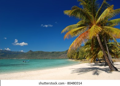 Tropical Paradies Images Stock Photos Vectors Shutterstock