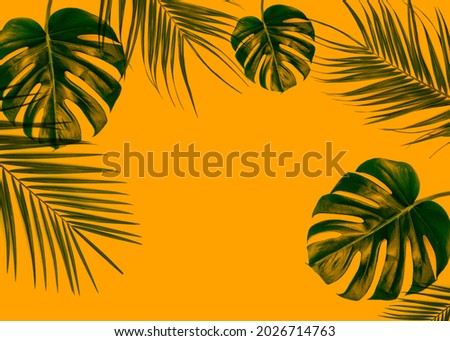 Exotic palm leaf on yellow background

