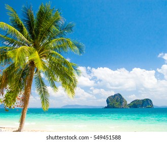 Exotic Paradise Serenity Shore Stock Photo 549451588 | Shutterstock