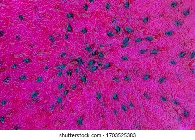 Exotic Pink Dragonfruit Cut Macro Photo On Background. Dragon Fruit Close Up. Pitahaya Texture Photo. Sweet Tropical Fruit, Juicy Pitaya Cut, Vietnam