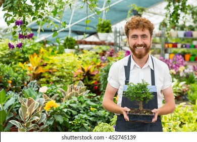 Exotic plants he owns. Portrait of a happy professional florist man smiling to the camera holding a pot with a bonsai tree posing in his greenhouse  - Powered by Shutterstock