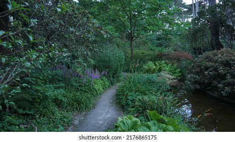 Exotic and rare plants, in the floral park of Paris, during an evening, in a vast forest corner. Exploration into the unknown, early evening, dark. Small ecological wooden barrier or limit - Shutterstock ID 2176865175