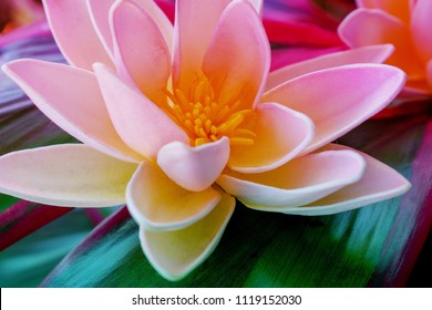 Simply Blessed Hd Stock Images Shutterstock