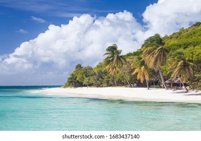 Exotic Tropical Beach With Palm Trees And White Sand, Caribbean Petit Saint Vincent Island 