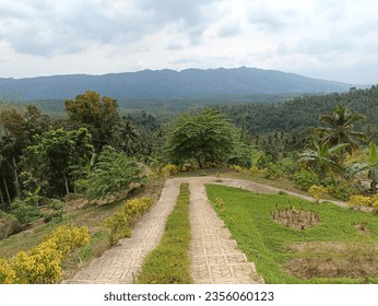 exotic view between two roads in a city park