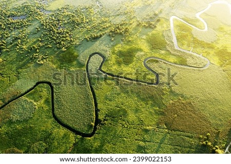 Exotic winding river in green meadows from a bird's eye view. Location place Ukraine, Europe. Textural image of impassable swamp. Aerial photography from top to bottom. Discover the beauty of earth.