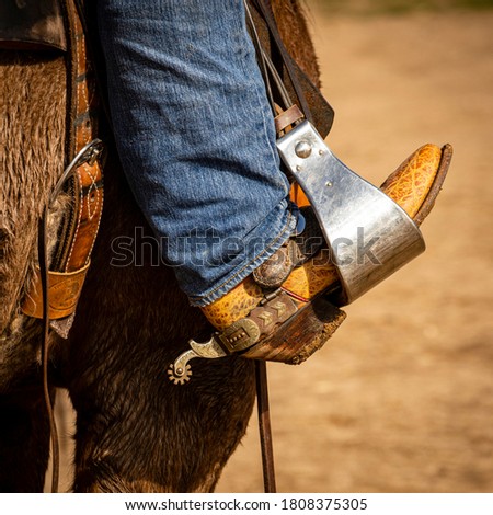 Exotic-skinned Boot with spurs in a metal stirrup on a brown horse at a ranch in Southern Arizona