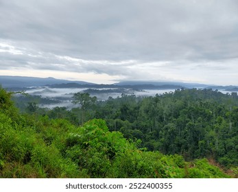 The expanse of forest and clouds meet in an atmosphere full of beauty