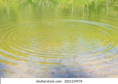 Expansion Waves In The Water Caused By Throwing A Stone. Motion Concept