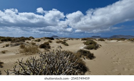 Expansive desert scene featuring sand dunes with sparse vegetation under a vibrant blue sky with clouds. Perfect for showcasing raw, untouched natural beauty and outdoor adventure. - Powered by Shutterstock