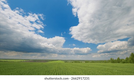Expansive fields stretch wide beneath a dynamic and everchanging sky, so captivating and vivid
