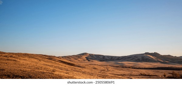 Expansive golden grassland with rolling hills under a clear sky at sunset, conveying a sense of vast open space and tranquility - Powered by Shutterstock