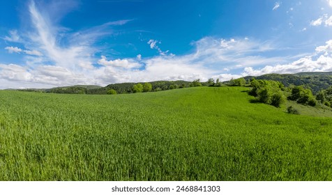 Expansive green field under a blue sky, rolling hills with lush green grass. - Powered by Shutterstock