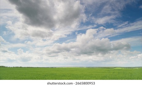Expansive Green Fields Stretch Beneath a Stunning and Dynamic Atmospheric Sky Above