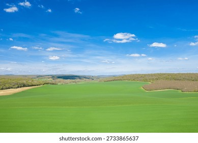 Expansive green fields stretch toward gently rolling hills covered in early spring forest under a vivid blue sky dotted with scattered clouds. The open rural landscape conveys freshness and tranquility.