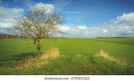 Expansive green fields under a dynamic sky, featuring a solitary tree and distant farm structures.