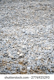 Expansive ground view showcasing countless smooth pale grey stones completely covering a natural shoreline.