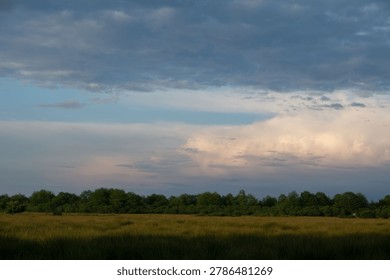 Expansive meadow and forest under a dramatic evening sky