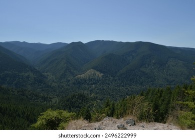 Expansive pine covered mountain range as seen from a small viewpoint near a steep overhang on a clear sunny day. 